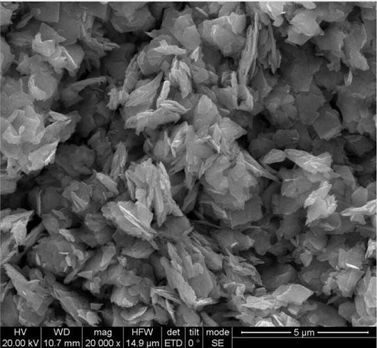 产品中心 纳米碳化物,氮化物,硼化物及其他(0维) 纳米二硫化钼(mos2)