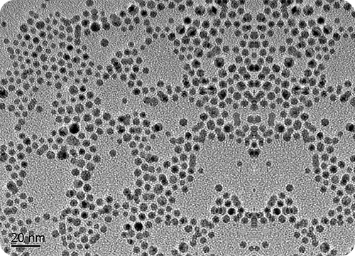银纳米颗粒产品类别:纳米材料银纳米颗粒根据其存在形态和粒径大小的